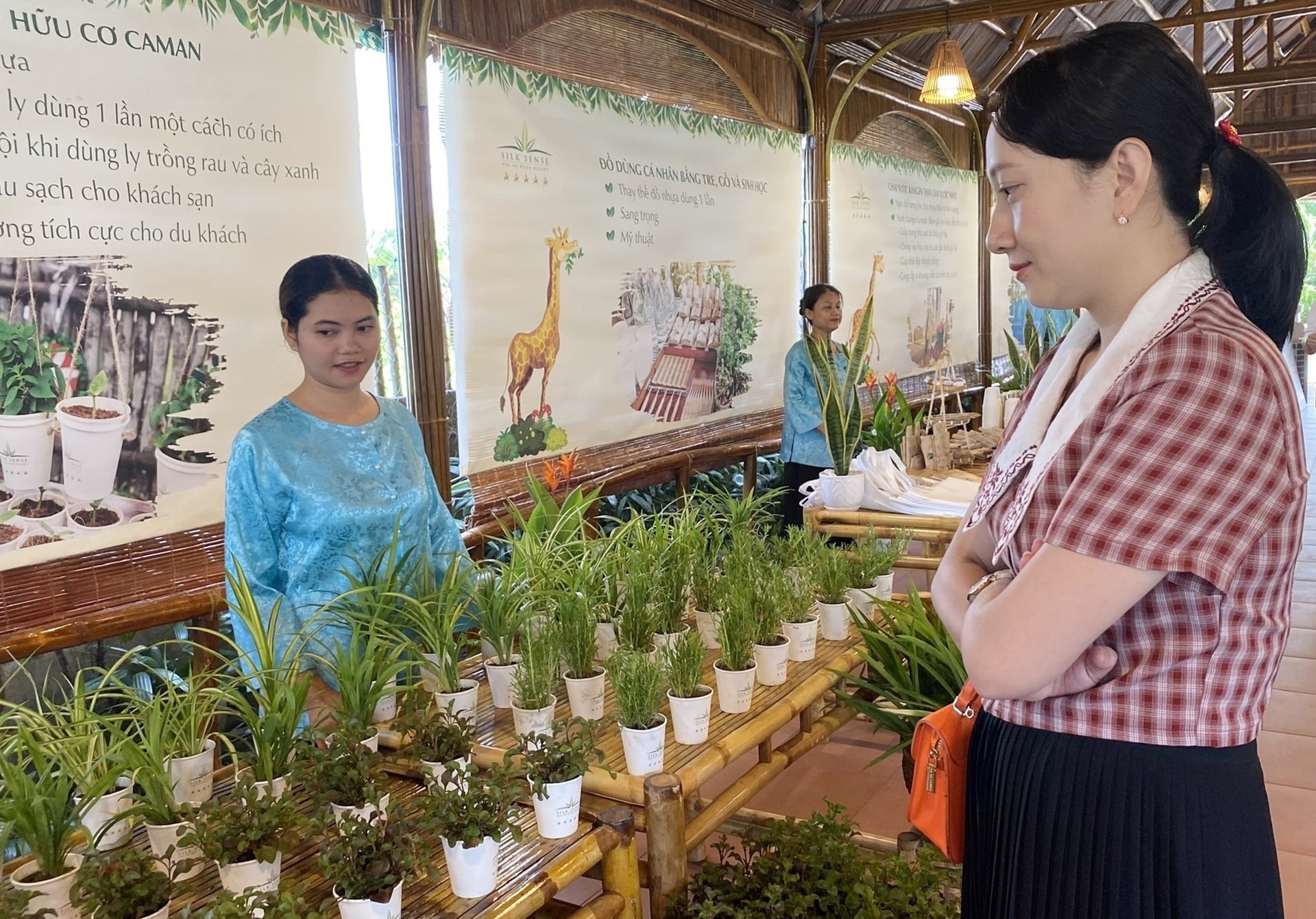 Growing clean vegetables at Silk Sense