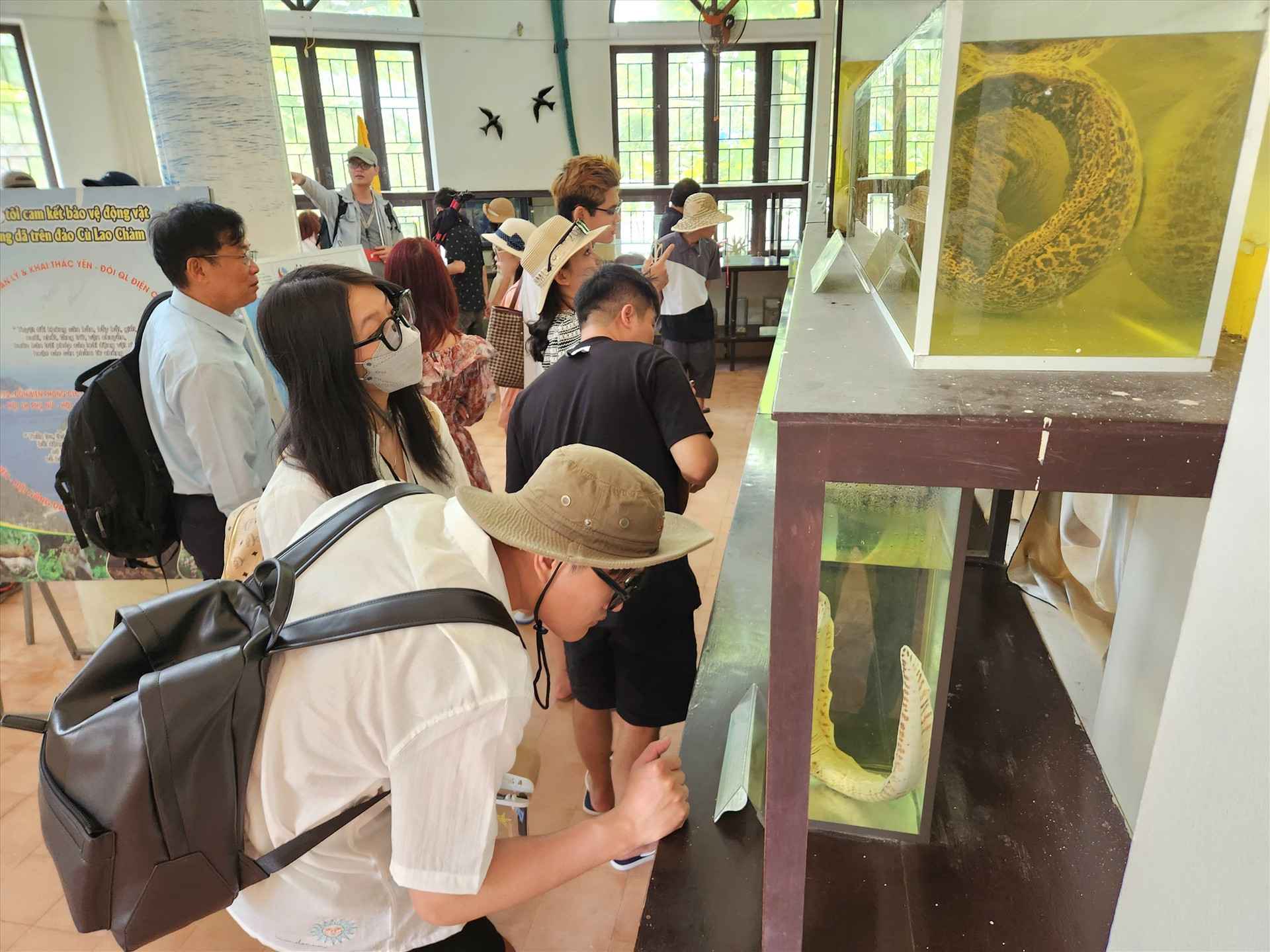 Du khách tham quan phòng trưng bày thuộc Khu bảo tồn biển Cù Lao Chàm.