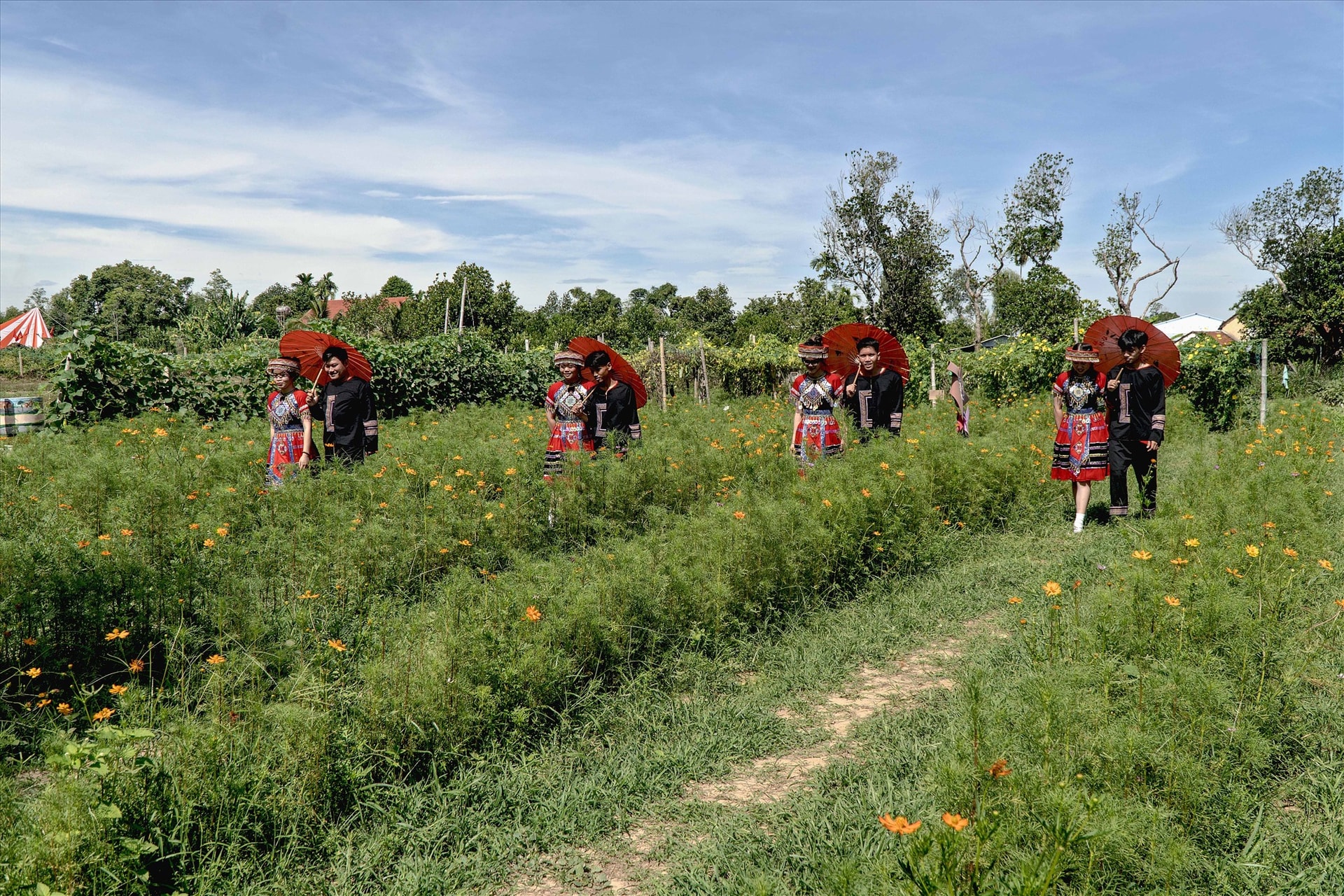 Các diễn viên tham quan cánh đồng hoa.