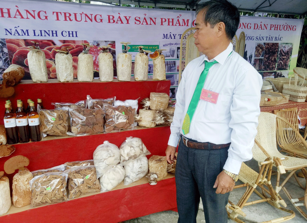 Các sản phẩm nấm mộc nhĩ, sò trắng, sò tím và linh chi do hộ ông Đinh Văn Hòa (thuộc Chi hội nghề nấm An Khê, quận Thanh Khê) sản xuất và cung cấp đến người tiêu dùng. Ảnh: Nhân vật cung cấp