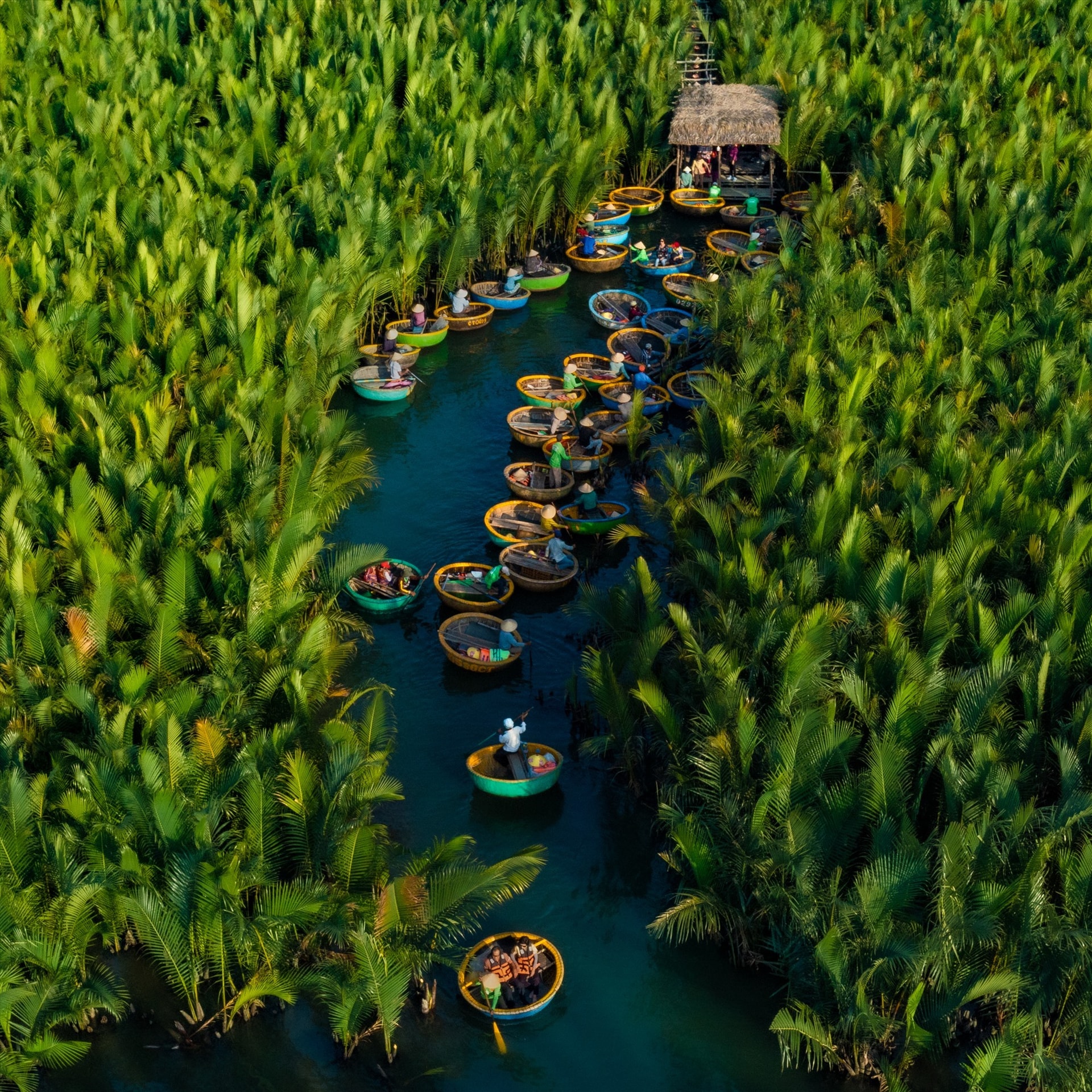 Cam Thanh nipa palm forest in ‘Green tourism’ by Phan Vu Trong