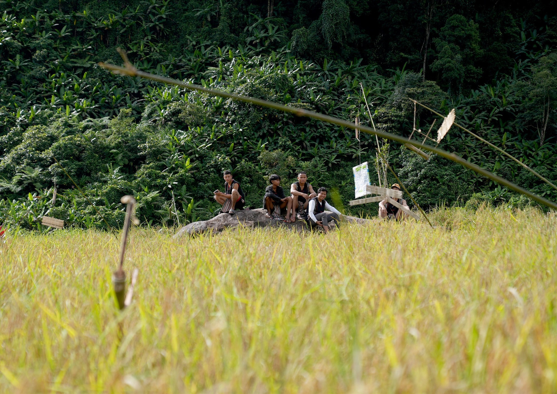 Young men from the village visit their field.