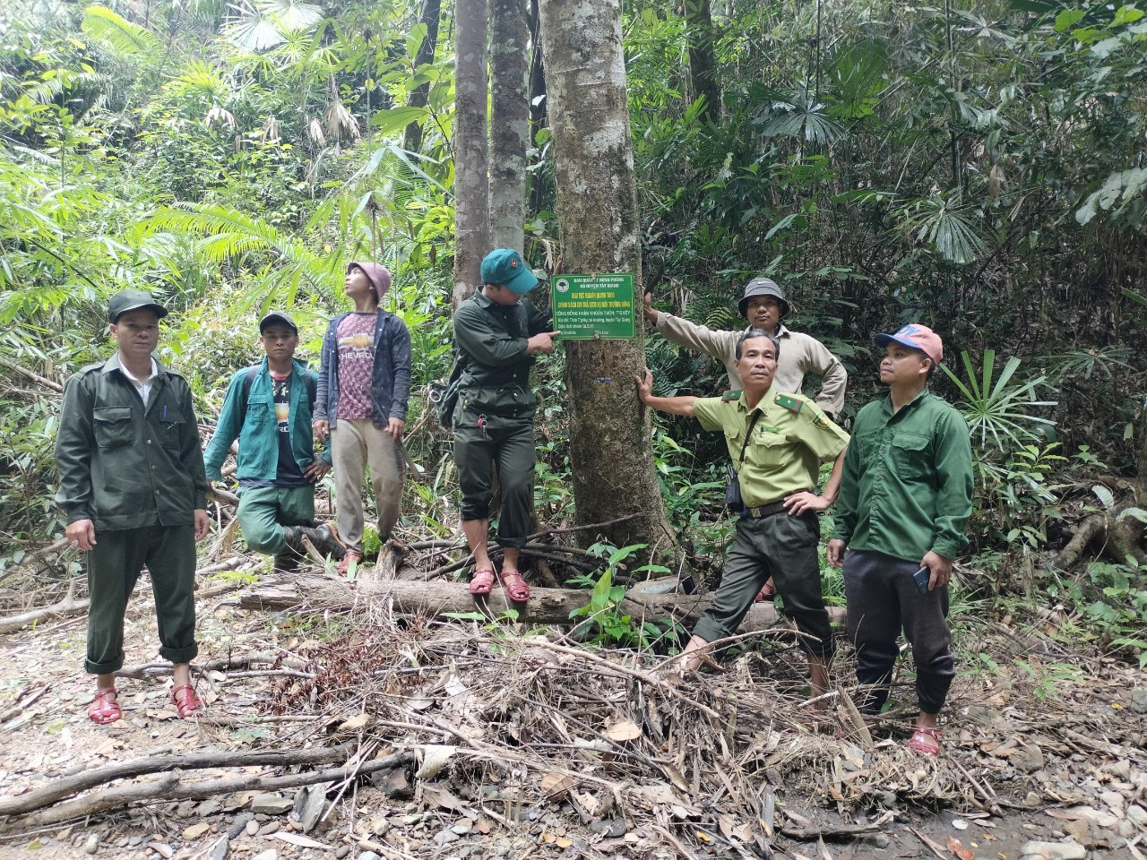 Lực lượng bảo vệ rừng chuyên trách phối hợp với kiểm lâm địa bàn tuần tra, bảo vệ rừng. Ảnh: Q.T