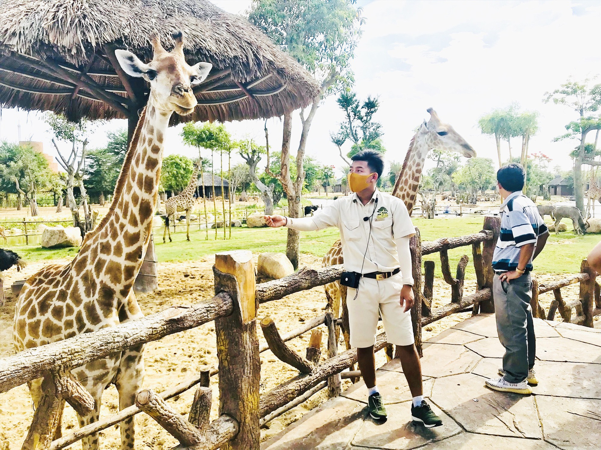 Khu bảo tồn động vật bán hoang dã ở VinWonders Nam Hội An rất được du khách yêu thích. Ảnh: Q.T