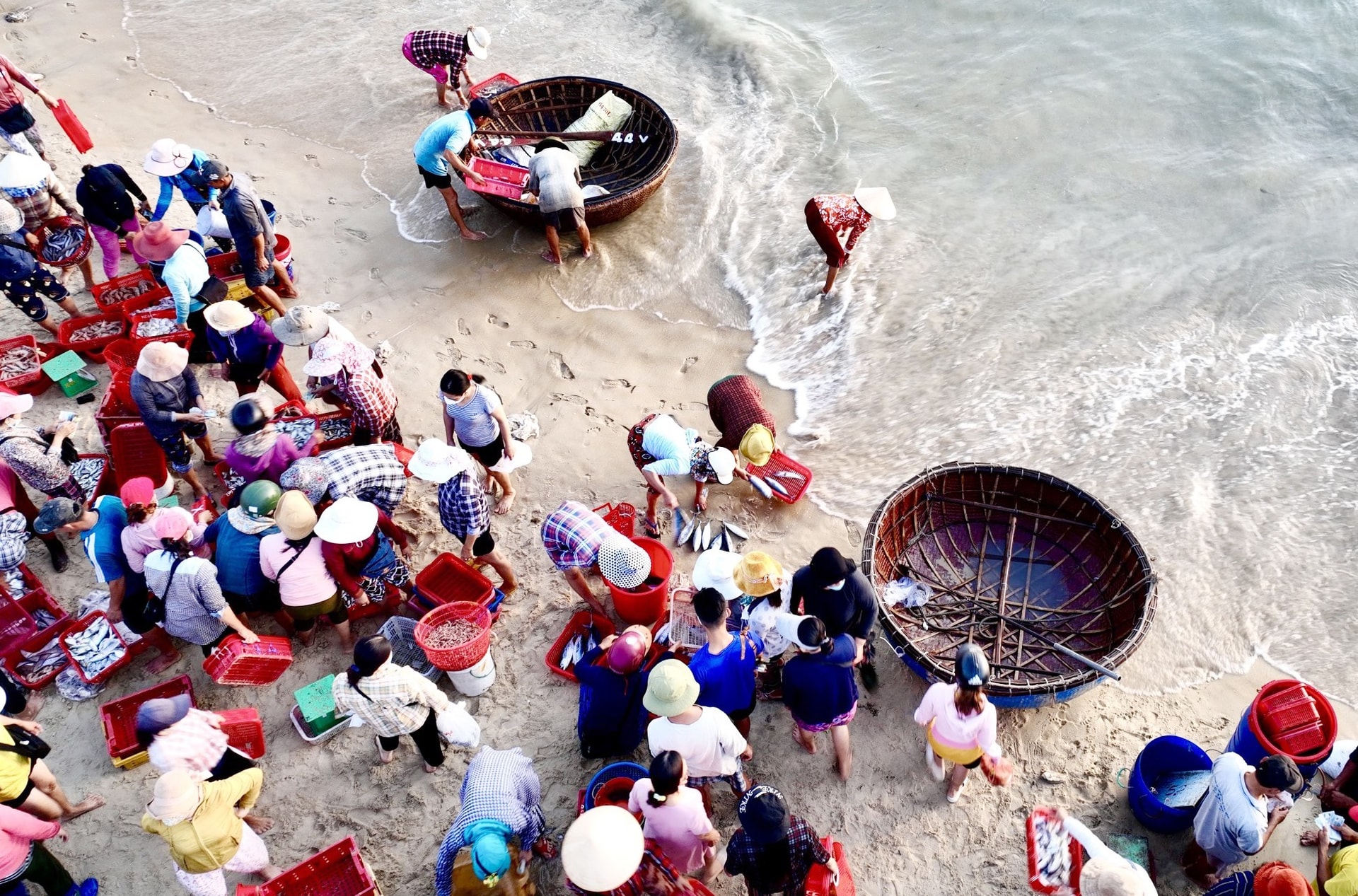 Quảng Nam cần thực hiện đề án chuyển đổi nghề, giúp ngư dân đánh bắt hải sản thân thiện với môi trường, sinh thái biển. Ảnh: NGUYỄN QUANG