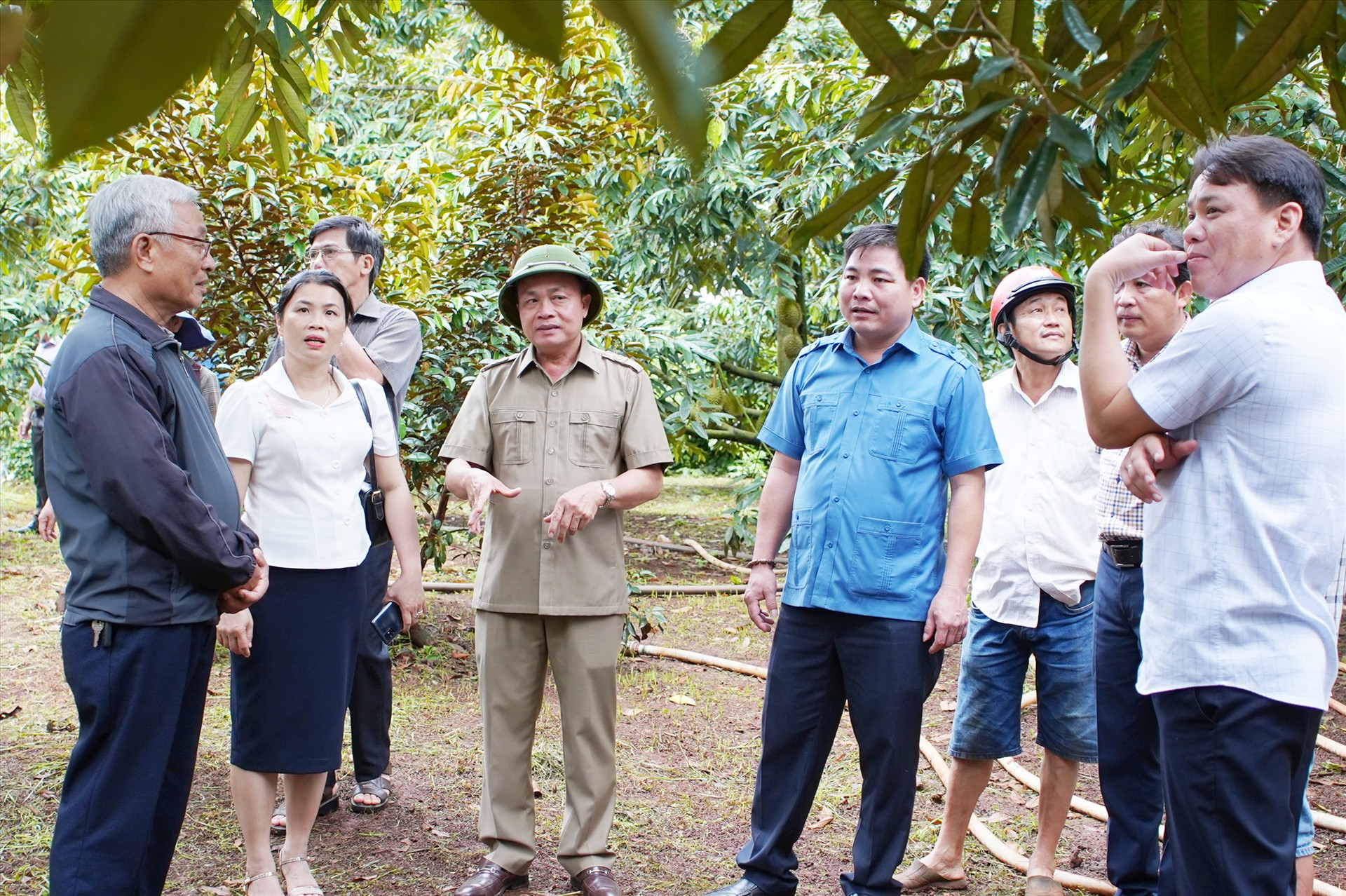 Huyện Nông Sơn tổ chức học tập mô hình phát triển kinh tế gắn với vườn đồi tại tỉnh Đắk Lắk. Ảnh: M.T