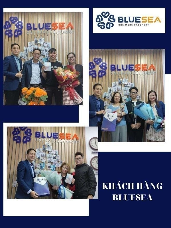 Bluesea đơn vị hàng đầu trong lĩnh vực tư vấn du học và đầu tư định cư.