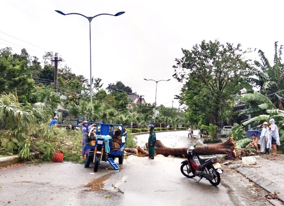 Cắt dọn cây phượng ngã đổ trên đường Nguyễn Văn Linh (thị trấn Trà My). Ảnh: N.Bình