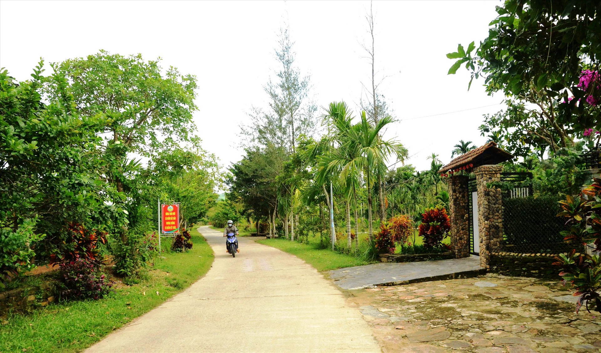 Đường dẫn vào làng được chính quyền và người dân trồng các loại cây xanh khá đẹp... Ảnh:N.HƯNG