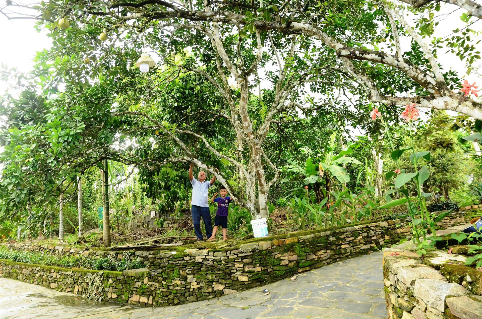Loc Yen villagers beautify their gardens.