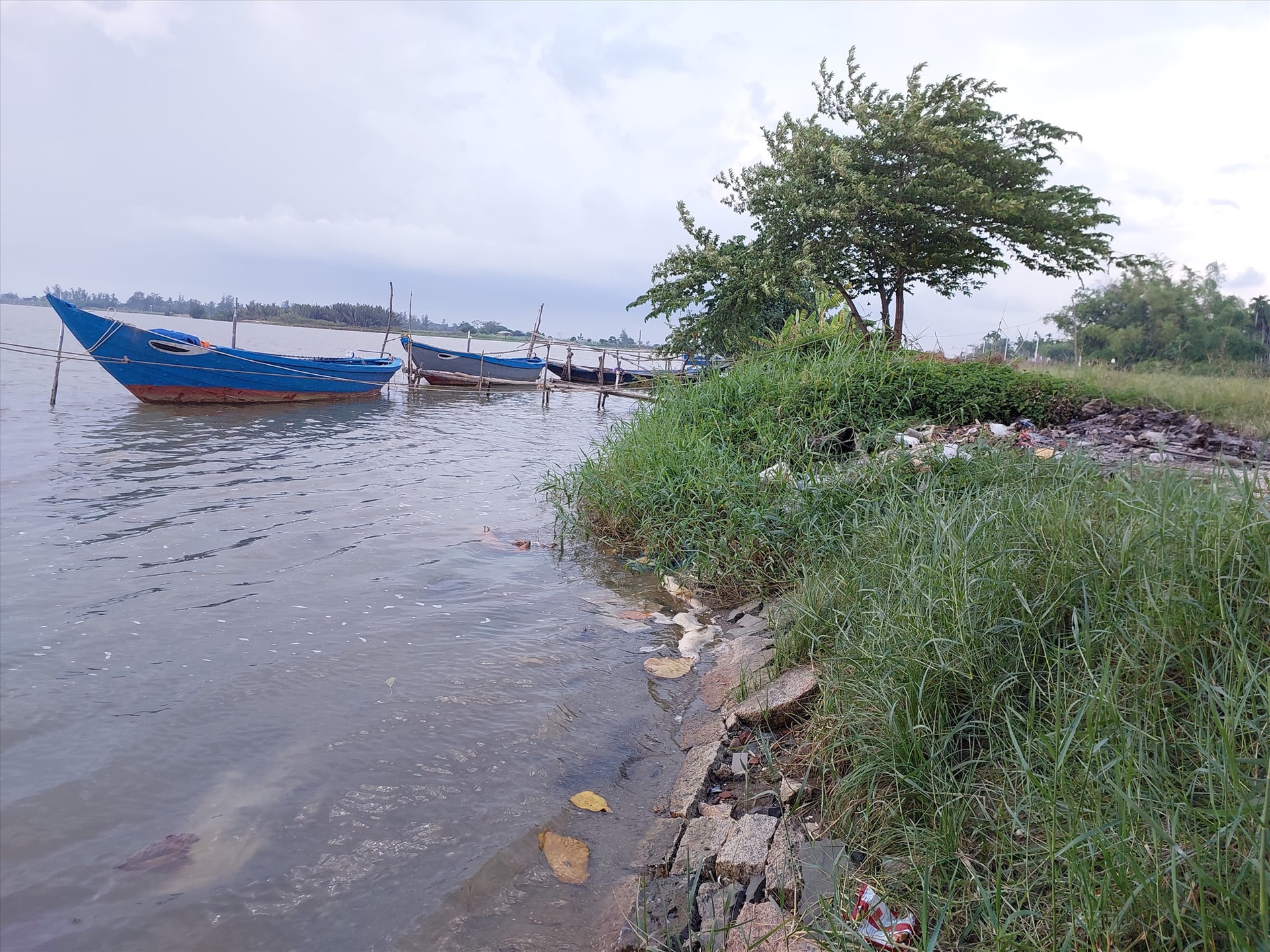 Thành phố Hội An đã dùng kinh phí hỗ trợ cho 3 công trinh khác chuyển sang gia cố, sửa chữa kè Thanh Nam Đông (Cẩm Nam)