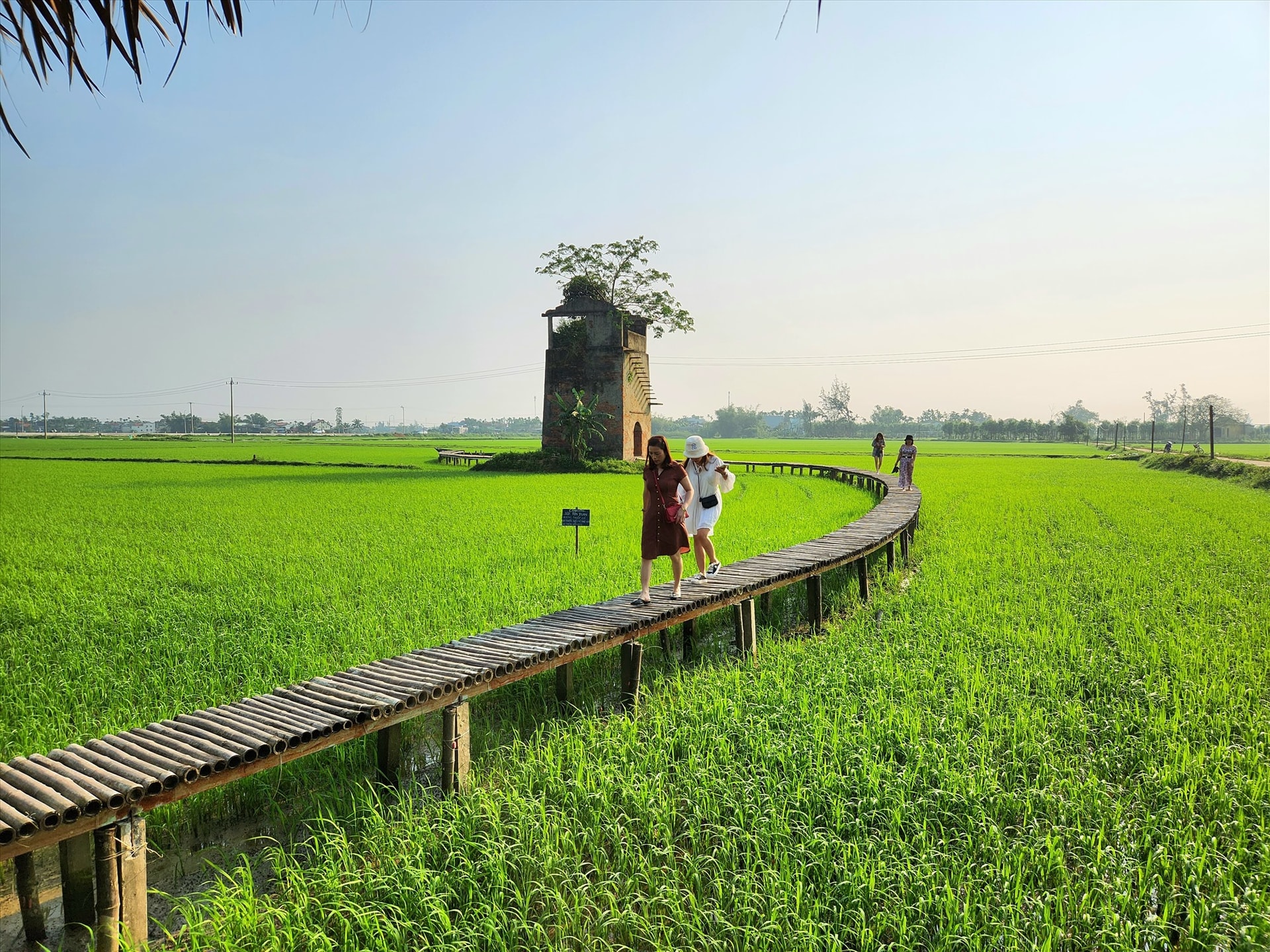 Du khách ghé thăm lò gạch cũ ở Duy Vinh, Duy Xuyên. Ảnh: H.S