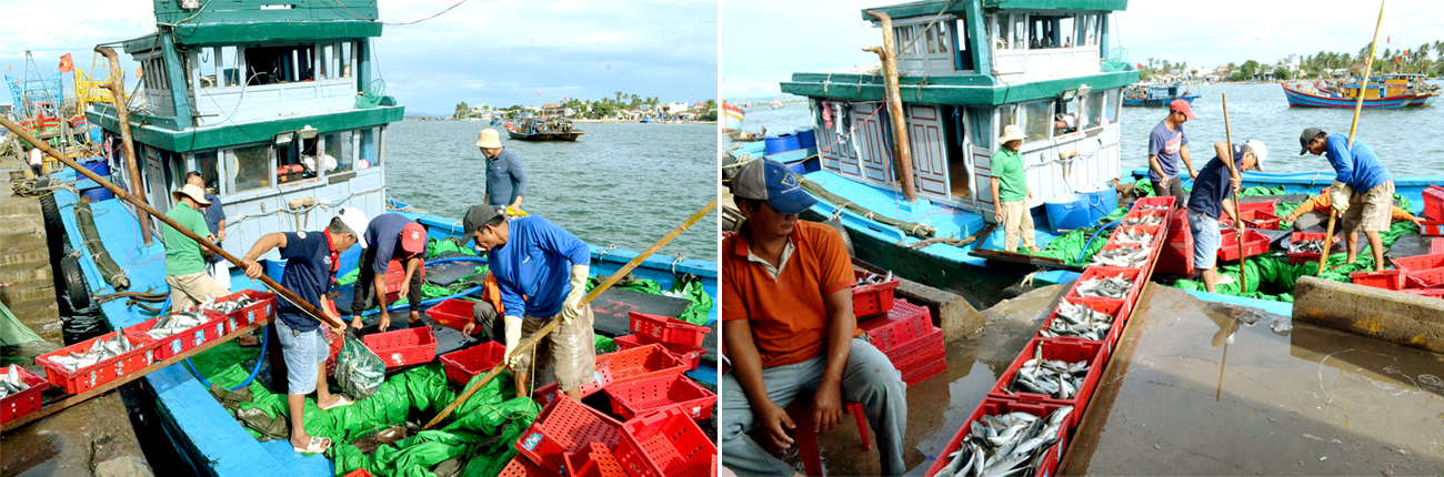 Truy xuất nguồn gốc hải sản ở Quảng Nam còn gặp khó. Ảnh: Q.V