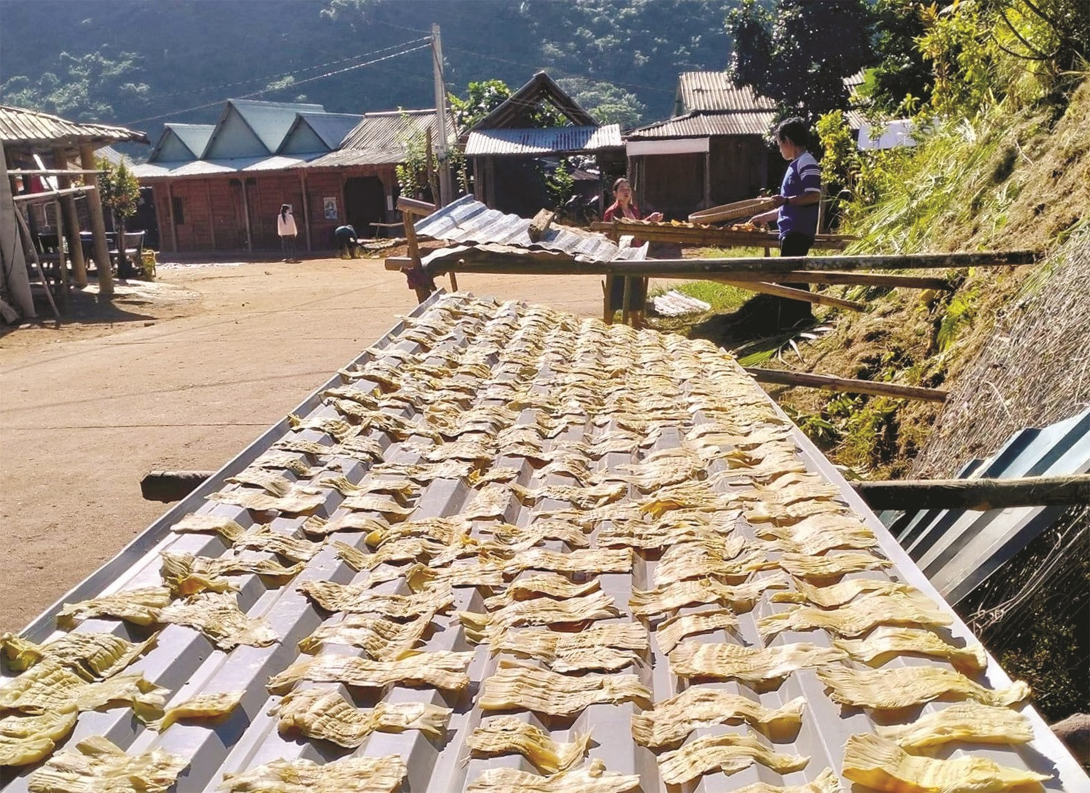 People usually take advantage of the sunshine to dry bamboo shoots.