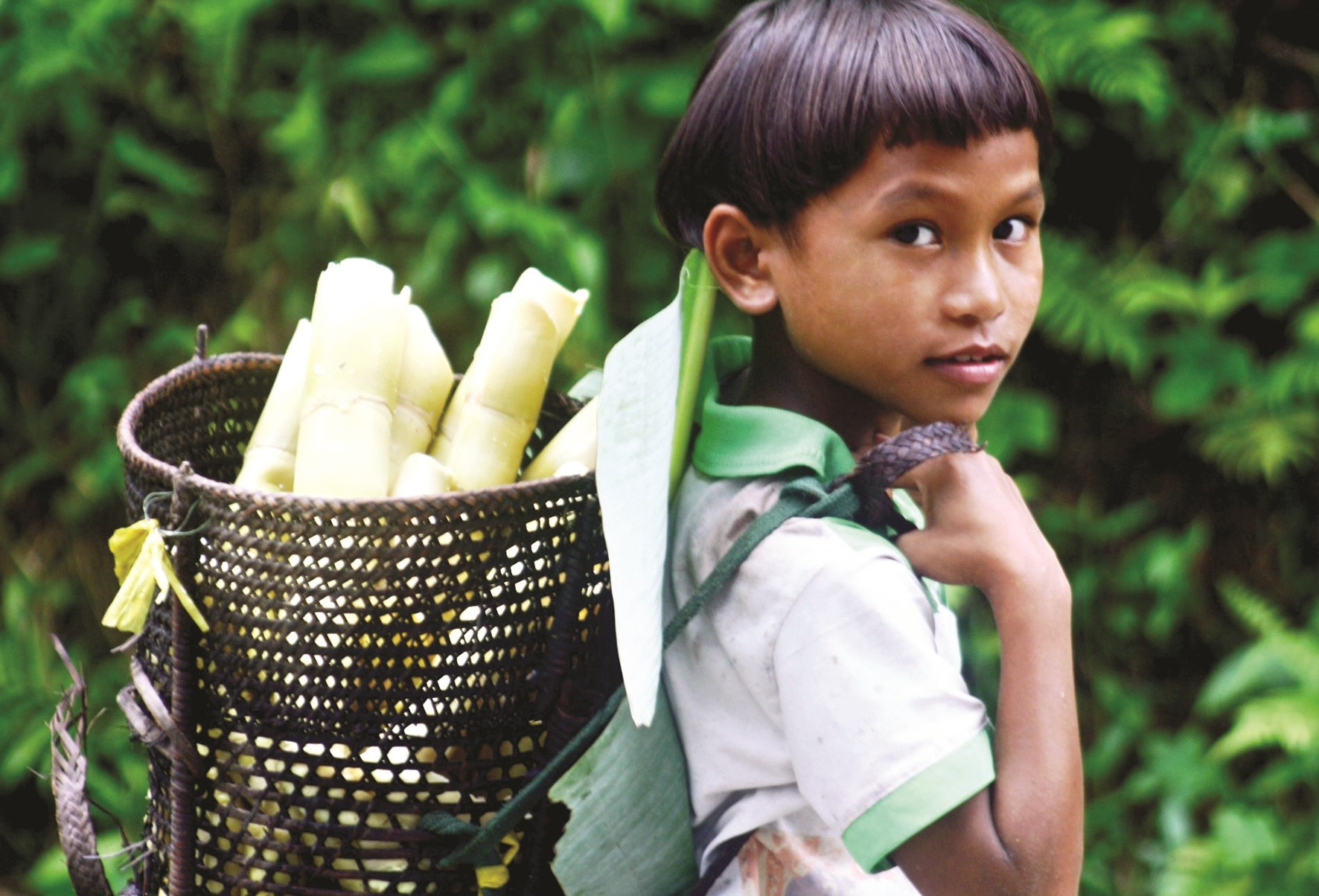 A child brings neohouzeaua shoots to the market.