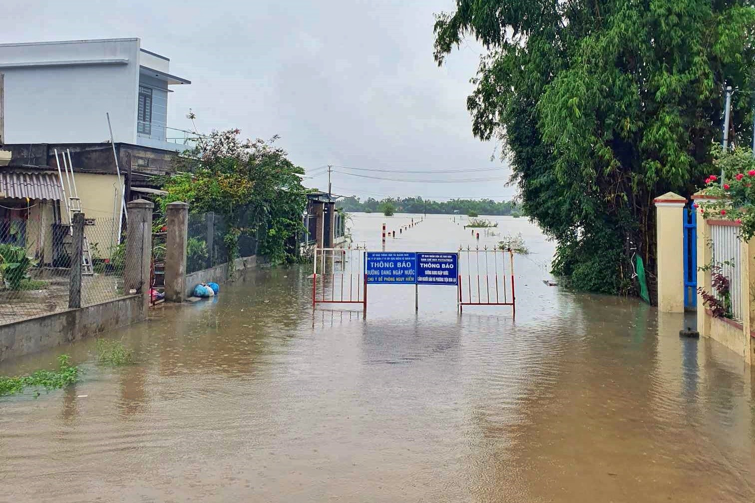 Phú Ninh đã cho cắm biển cảnh báo tại các khu vực bị ngập, nước chảy xiết. Ảnh: Đ.Y