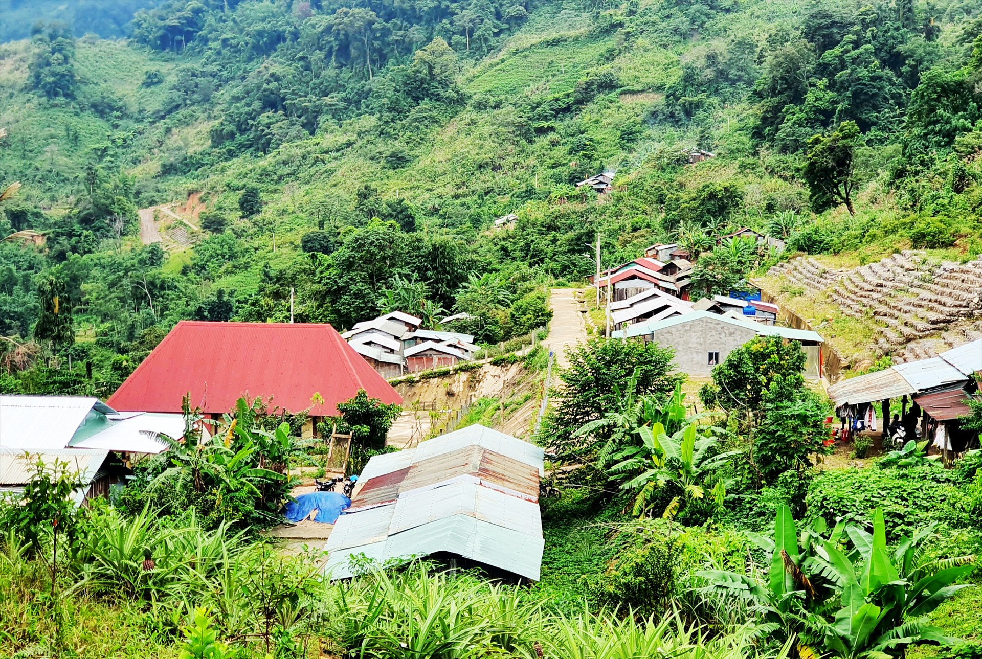 Thôn 5a cũ, nay là thôn 3 Phước Lộc đã có nhà tránh trú bão an toàn cho nhân dân phòng ngừa sạt lở. Ảnh: T.C