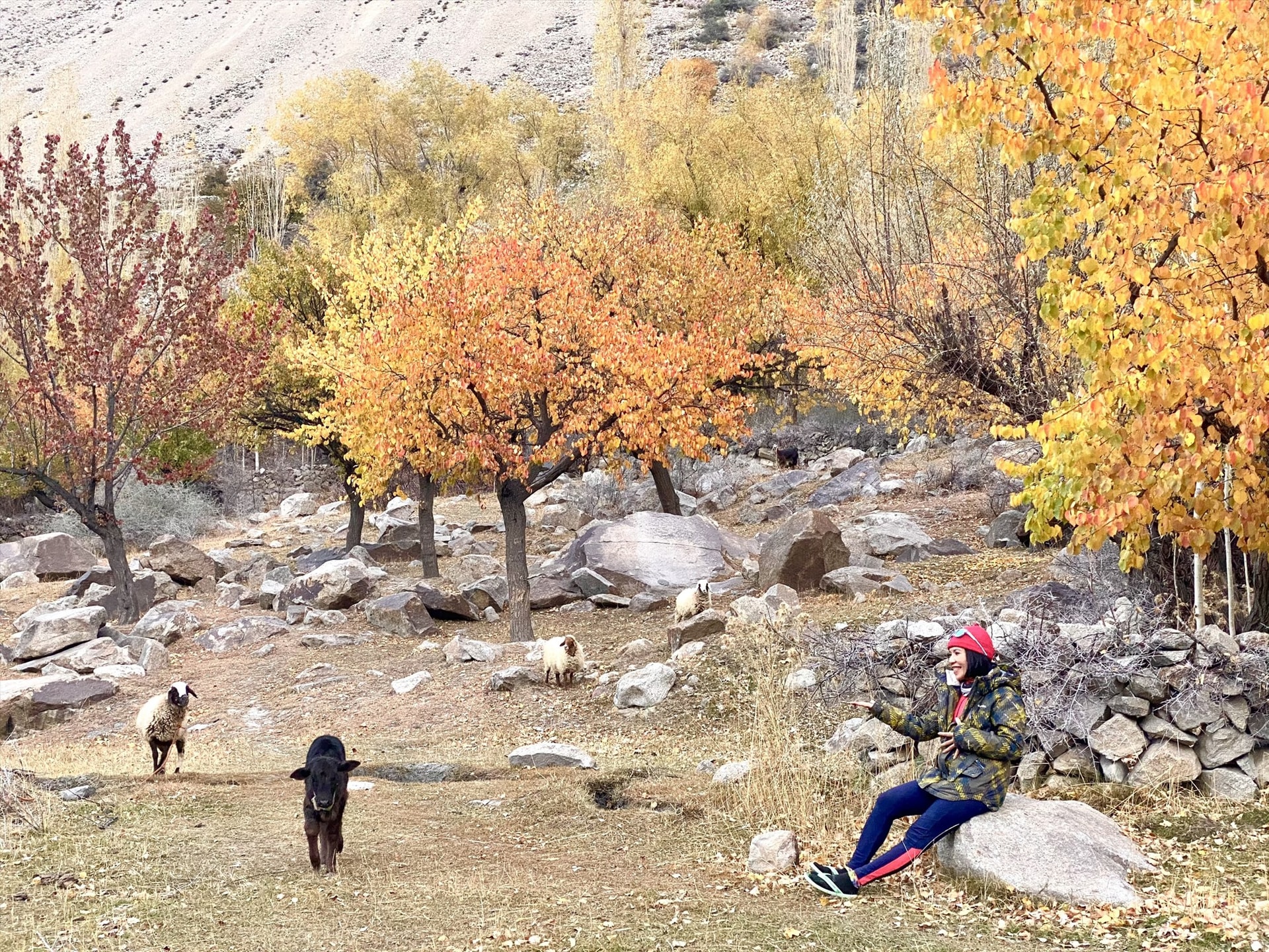 Tác giả và mùa thu ở thung lũng Hunza