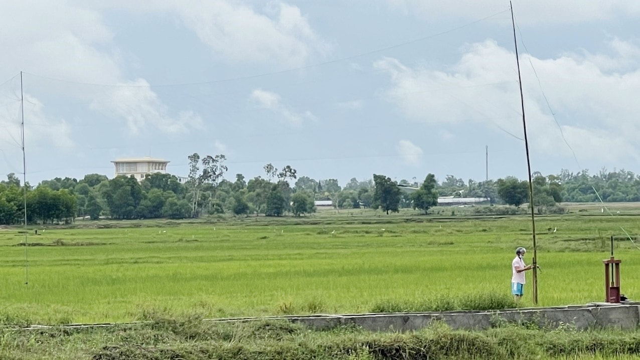 Cán bộ phường An Phú thu gom lưới tàng hình các đối tượng giăng bắt chim trời tại khu vực sông Đầm. Ảnh: P.V