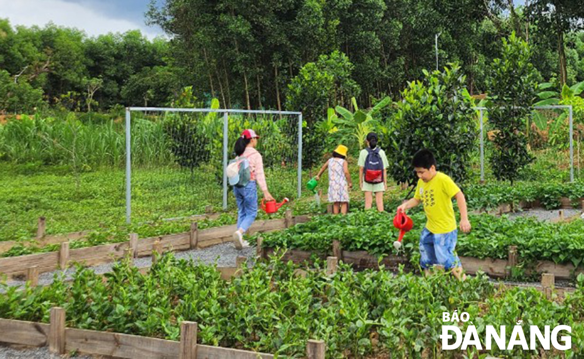 Học sinh tham quan và trải nghiệm trồng rau sạch tại Bana Rita Glamping Farm (xã Hòa Phú). Ảnh: T. TUẤN