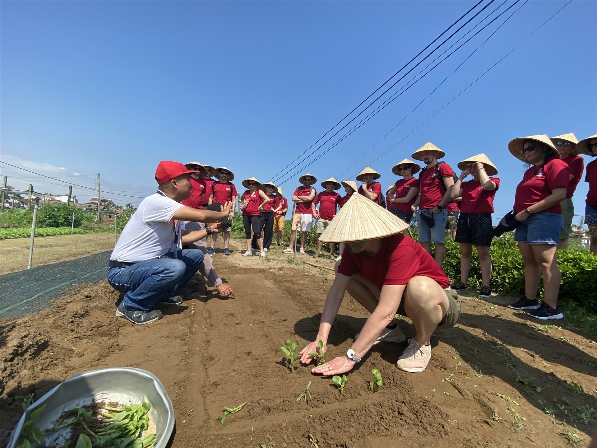 Du lịch xanh hướng đến bảo vệ thiên nhiên và bảo tồn các giá trị văn hóa bản địa. Ảnh: V.L