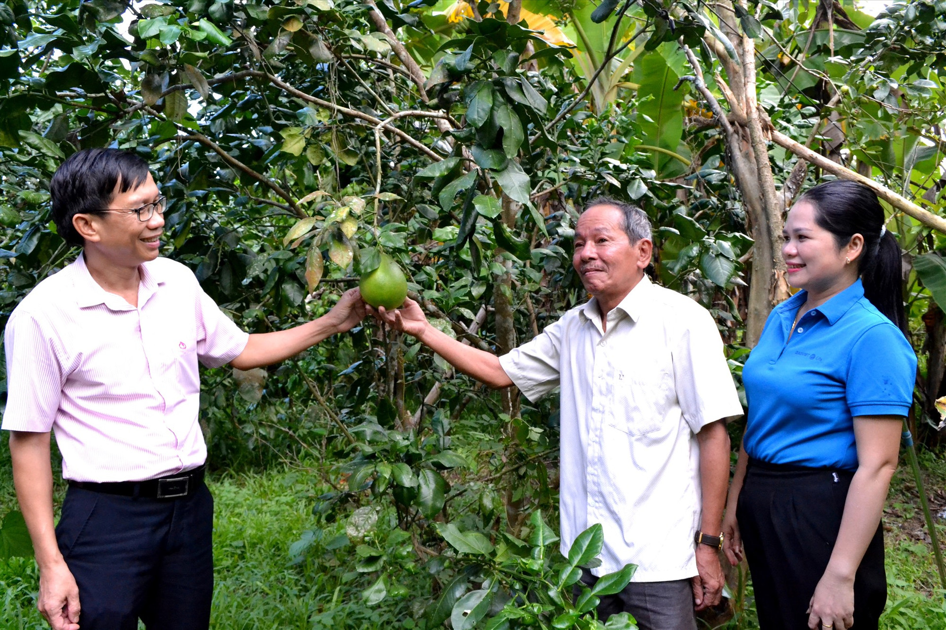 Kinh tế nông nghiệp đem lại thu nhập ổn định cho gia đình ông Lê Văn Dĩnh (ở giữa). Ảnh: Q.VIỆT