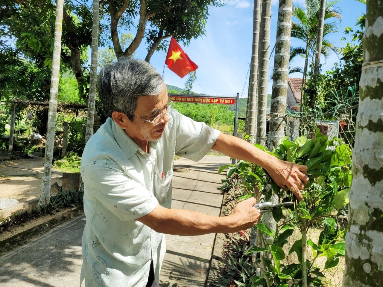 Cần tập trung khuyến khích và hỗ trợ người dân nhân rộng mô hình vườn mẫu.  Ảnh: PV