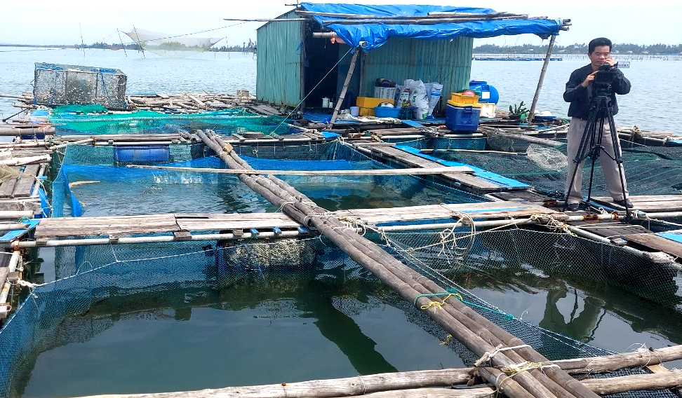 Vốn vay ưu đãi của ngân hàng chính sách giúp hộ bà Nguyễn Thị Thanh Nga nuôi cá lồng bè hiệu quả. Ảnh: Q.VIỆT