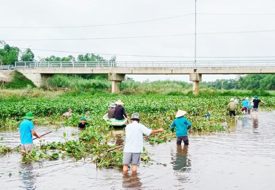 Cán bộ, dân quân, hội viên và nhân dân dọn dẹp, vớt bèo khơi thông dòng chảy nhánh sông Phú Triêm qua phường Điện Phương. Ảnh H.H