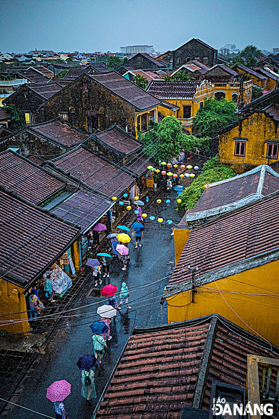 Những mái nhà cổ rêu phong, những chiếc đèn lồng rực rỡ đang chao liệng trong màn mưa lất phất khiến phố Hội yên bình quá đỗi...