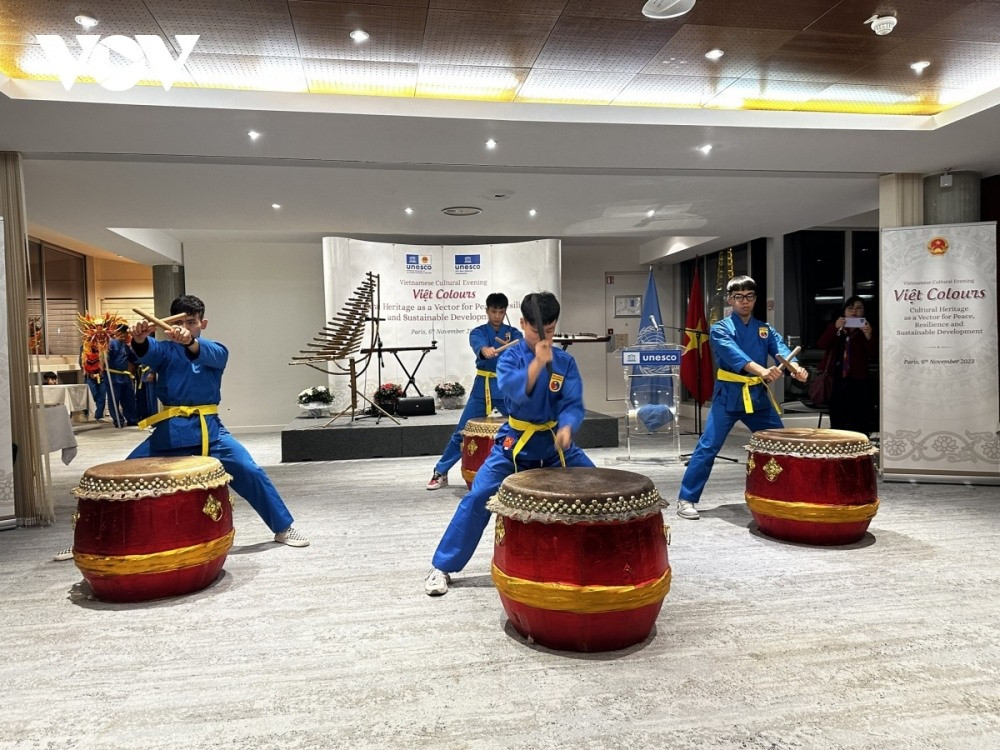 Participants in the event have the chance to watch performances of Vovinam martial arts.