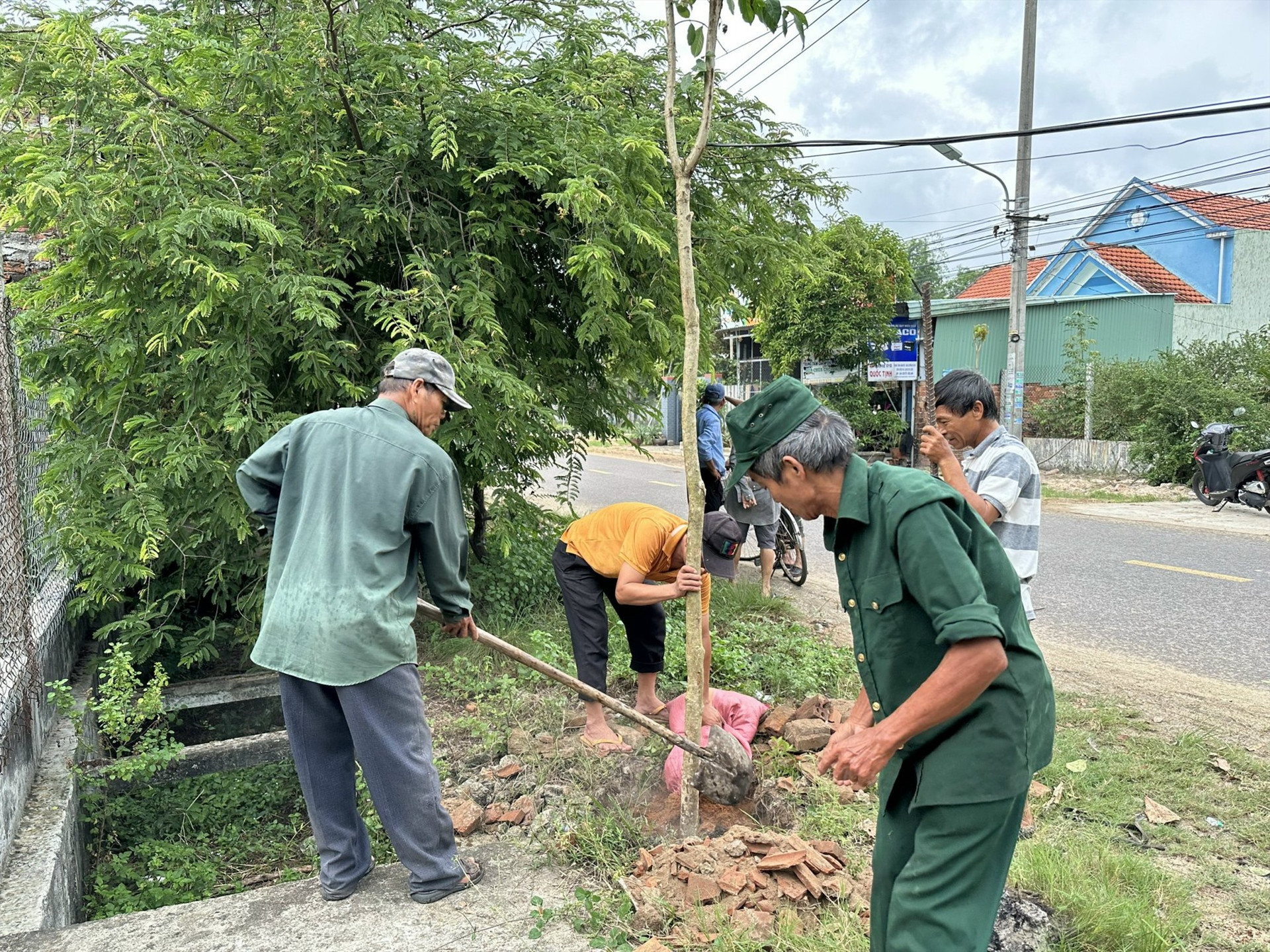Hội viên cựu chiến binh trên địa bàn huyện Thăng Bình tham gia trồng cây xanh