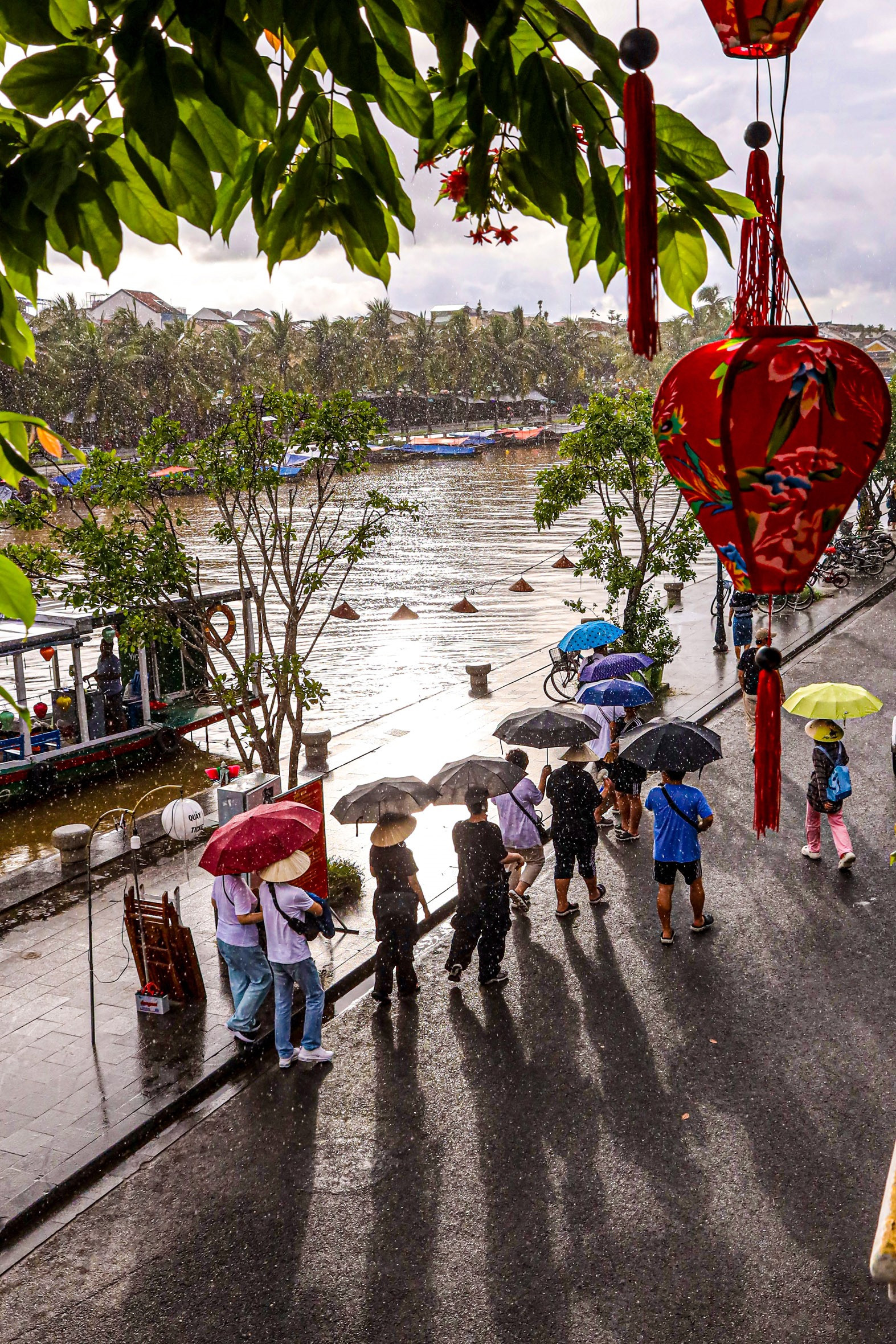 Du khách cầm ô cùng nhau đi dạo dưới mưa trong thời tiết mưa nắng