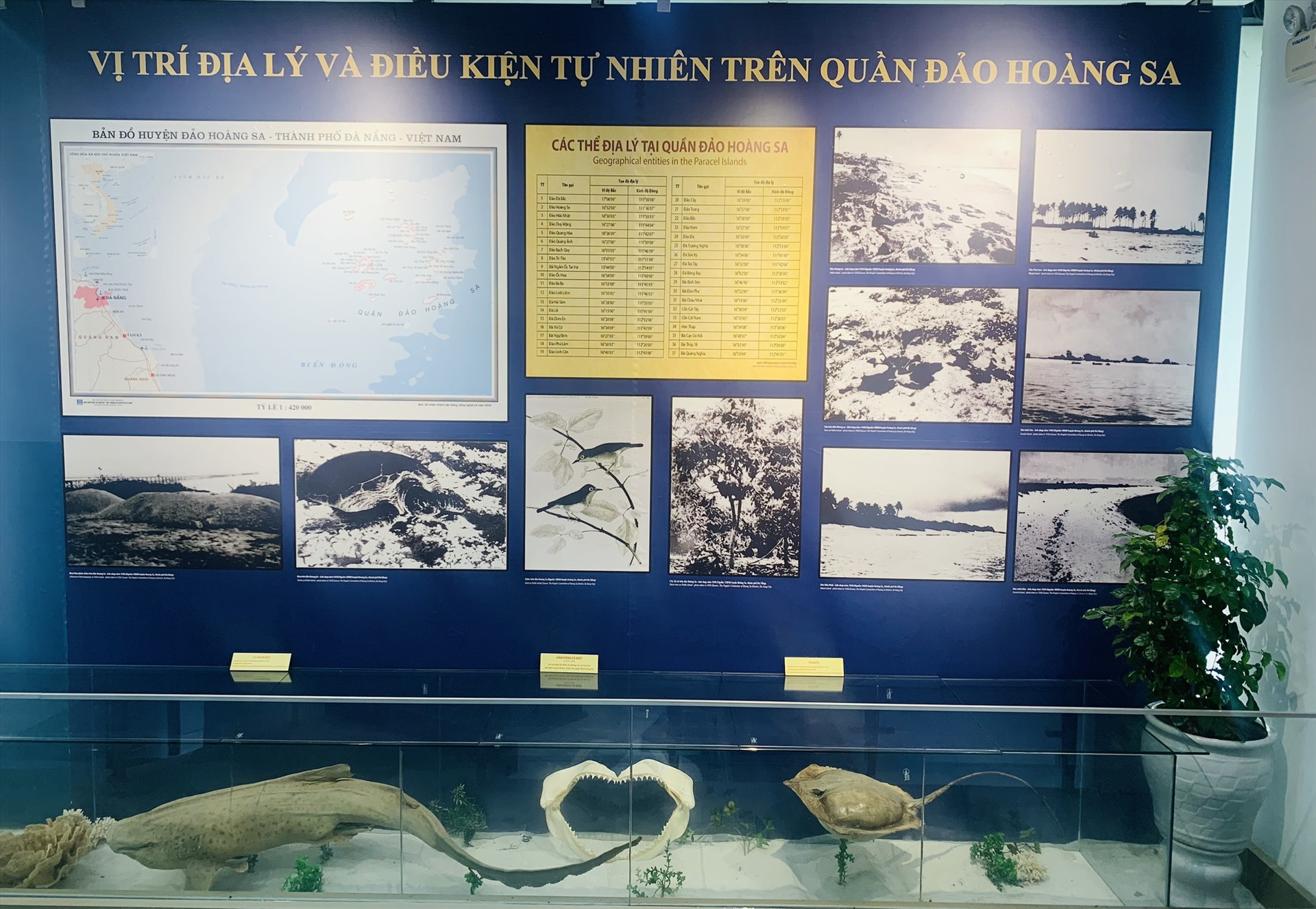 Không gian “Vị trí địa lý và điều kiện tự nhiên trên quần đảo Hoàng Sa” Nguồn: Nhà Trưng bày Hoàng Sa