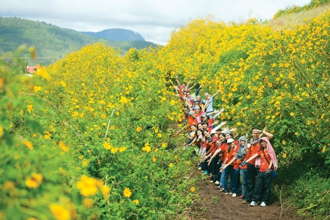 Mùa hoa Dã Quỳ tuyệt đẹp tại Măng Đen.