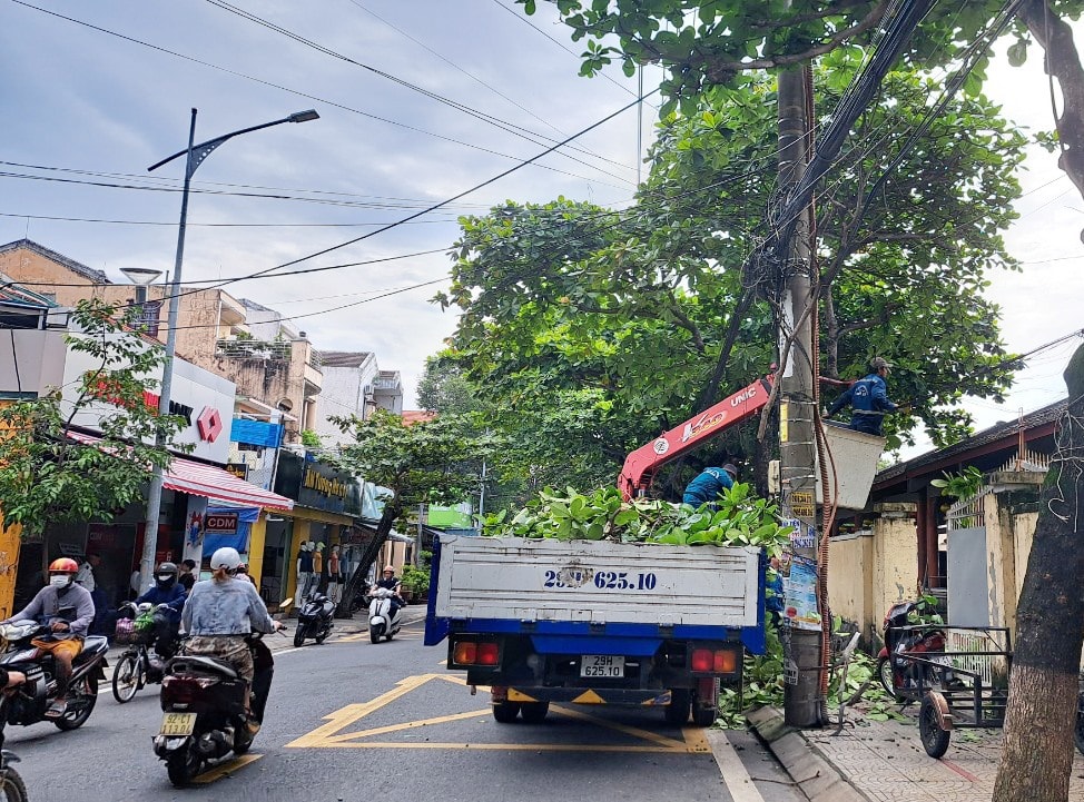 Khẩn trương cắt cây trước mùa mưa bão tại TP. Hôi An. Ảnh: L.H