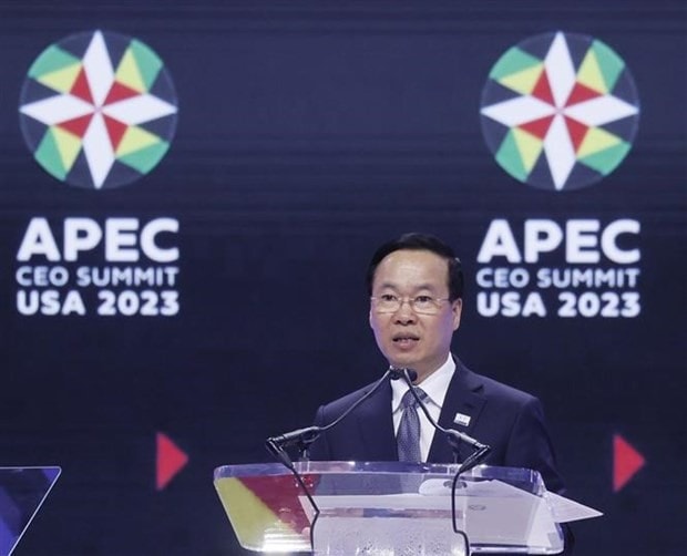 President Vo Van Thuong speaks at the summit. (Photo: VNA)