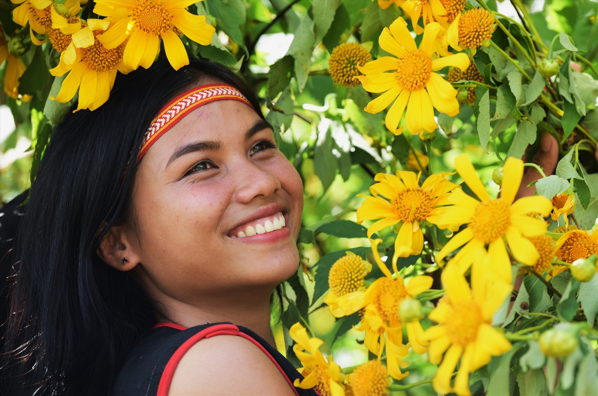 Young Jrai girl beside the wild sunflowers