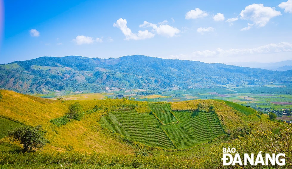 Núi lửa Chư Đăng Ya được mệnh danh là thiên đường của hoa dã quỳ, nằm trong top 10 điểm đến hấp dẫn nhất của tỉnh Gia Lai.