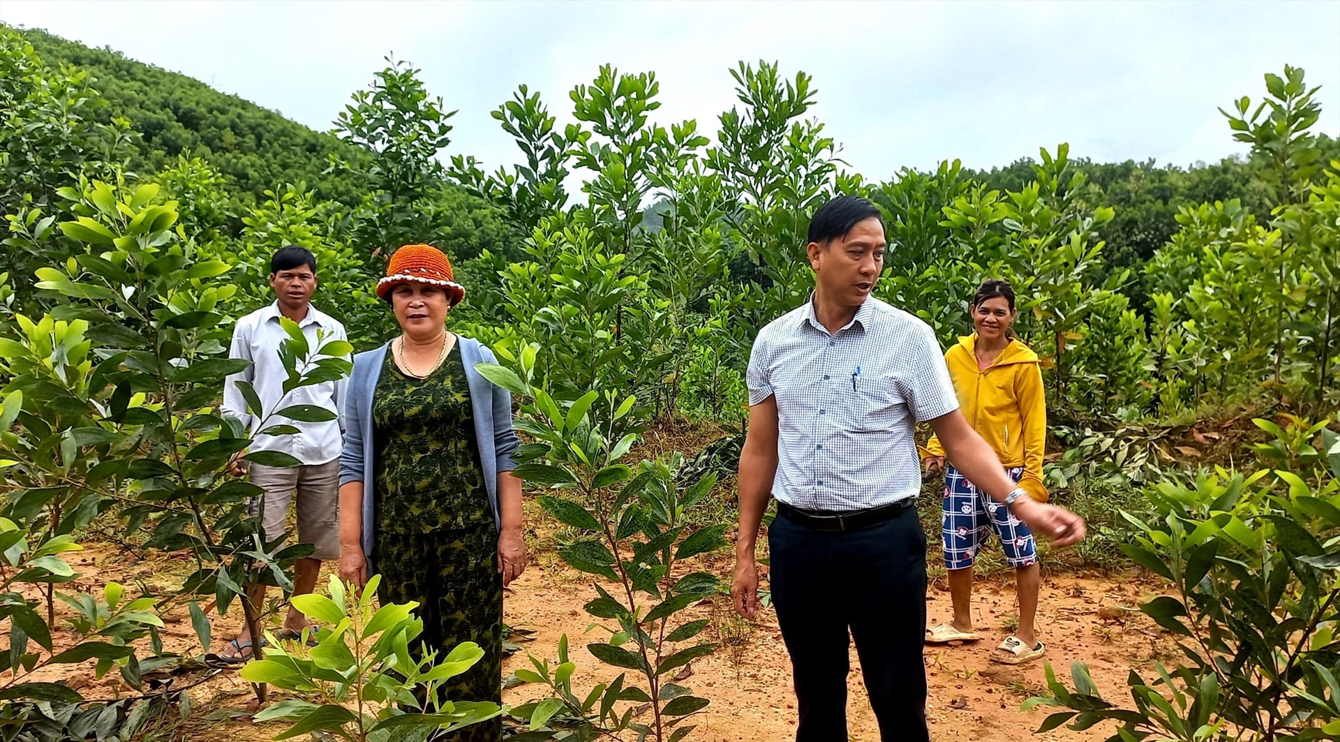 Các địa phương cần tiếp tục triển khai hiệu quả cho vay hỗ trợ tạo việc làm, duy trì và mở rộng việc làm. Ảnh; Q.VIỆT