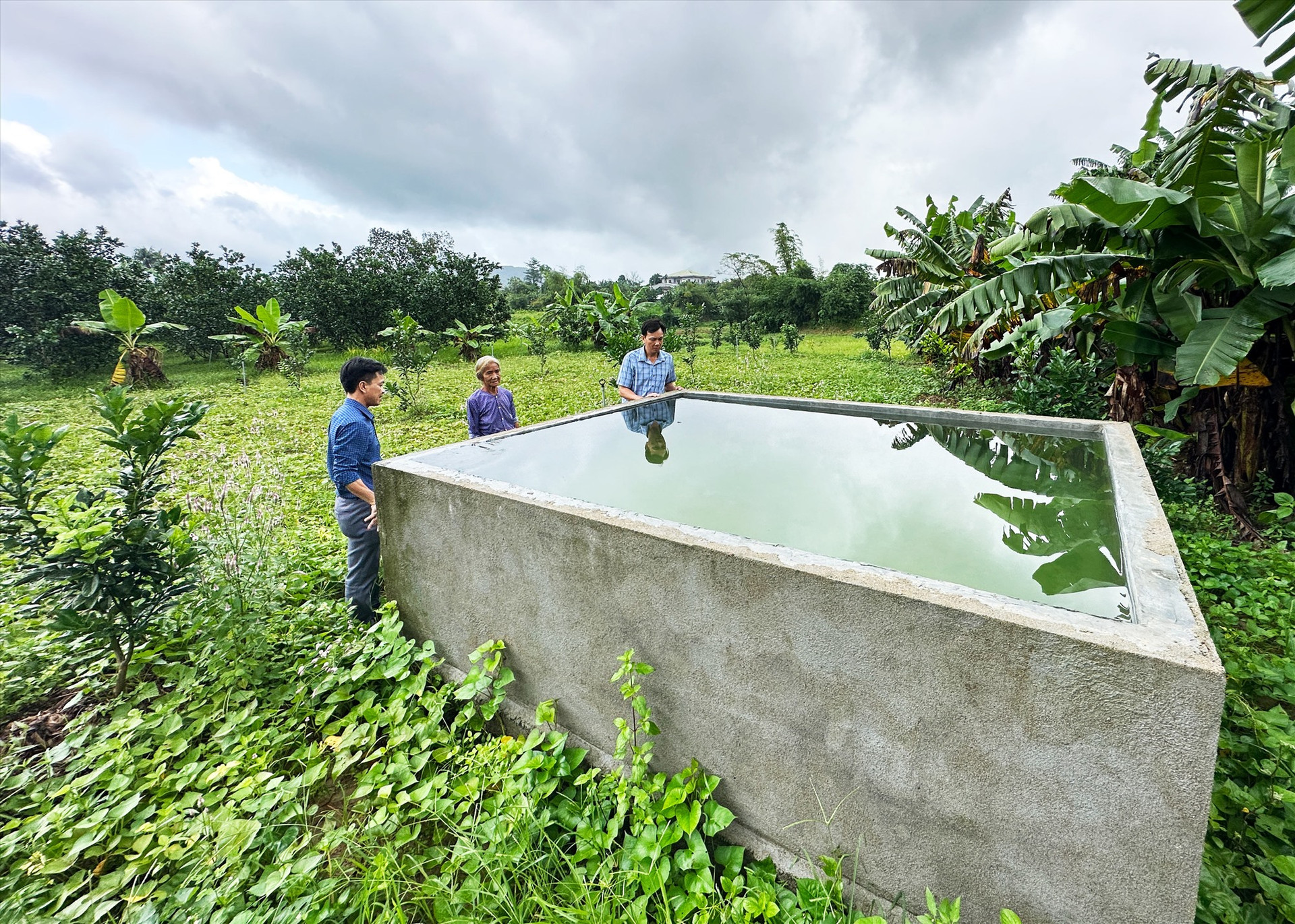 Các hộ dân được hỗ trợ hệ thống tưới nước để chăm sóc vườn cây ăn quả. Ảnh: PHAN VINH