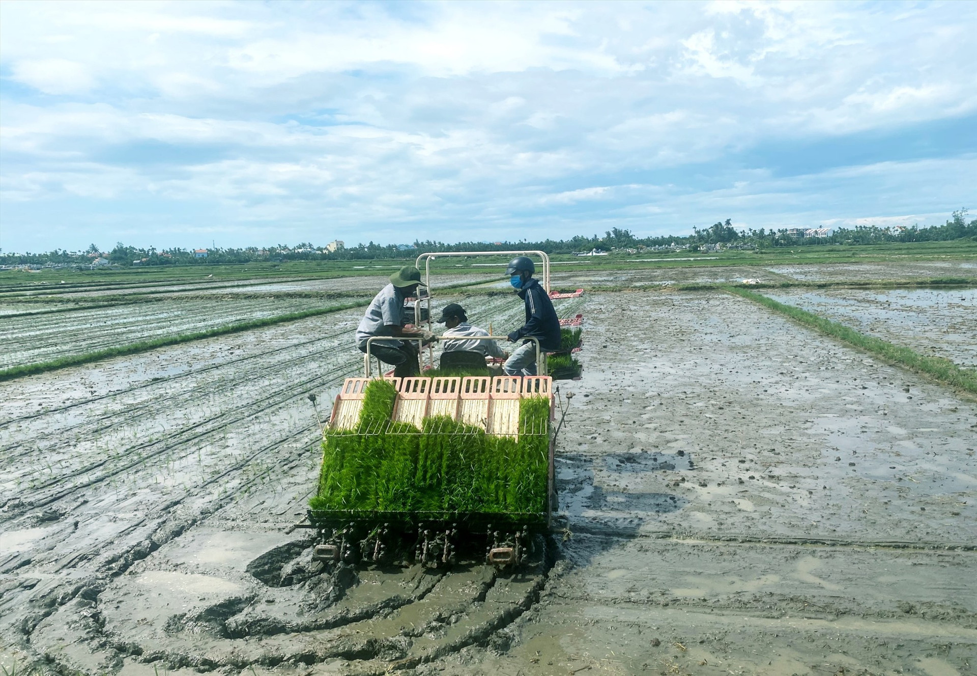 Ngành liên quan và chính quyền các cấp trong tỉnh cần thực hiện tốt những cơ chế hỗ trợ để các HTXNN có điều kiện đầu tư cơ giới hóa trong sản xuất. Ảnh: N.P