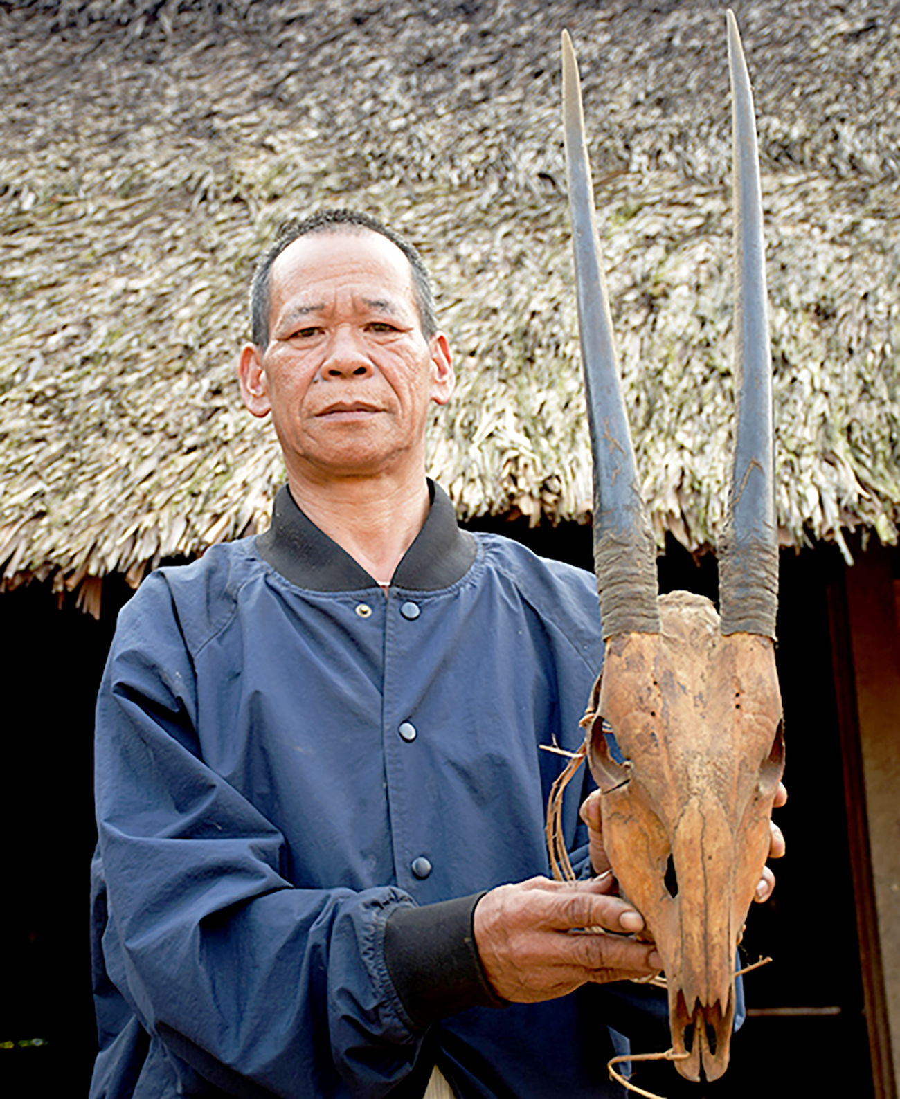 Người dân thôn Aur, xã A Vương, huyện Tây Giang, lưu giữ sừng và đầu một con sao la săn bắt được từ hàng chục năm trước. Ảnh: Khu bảo tồn loài sao la Quảng Nam