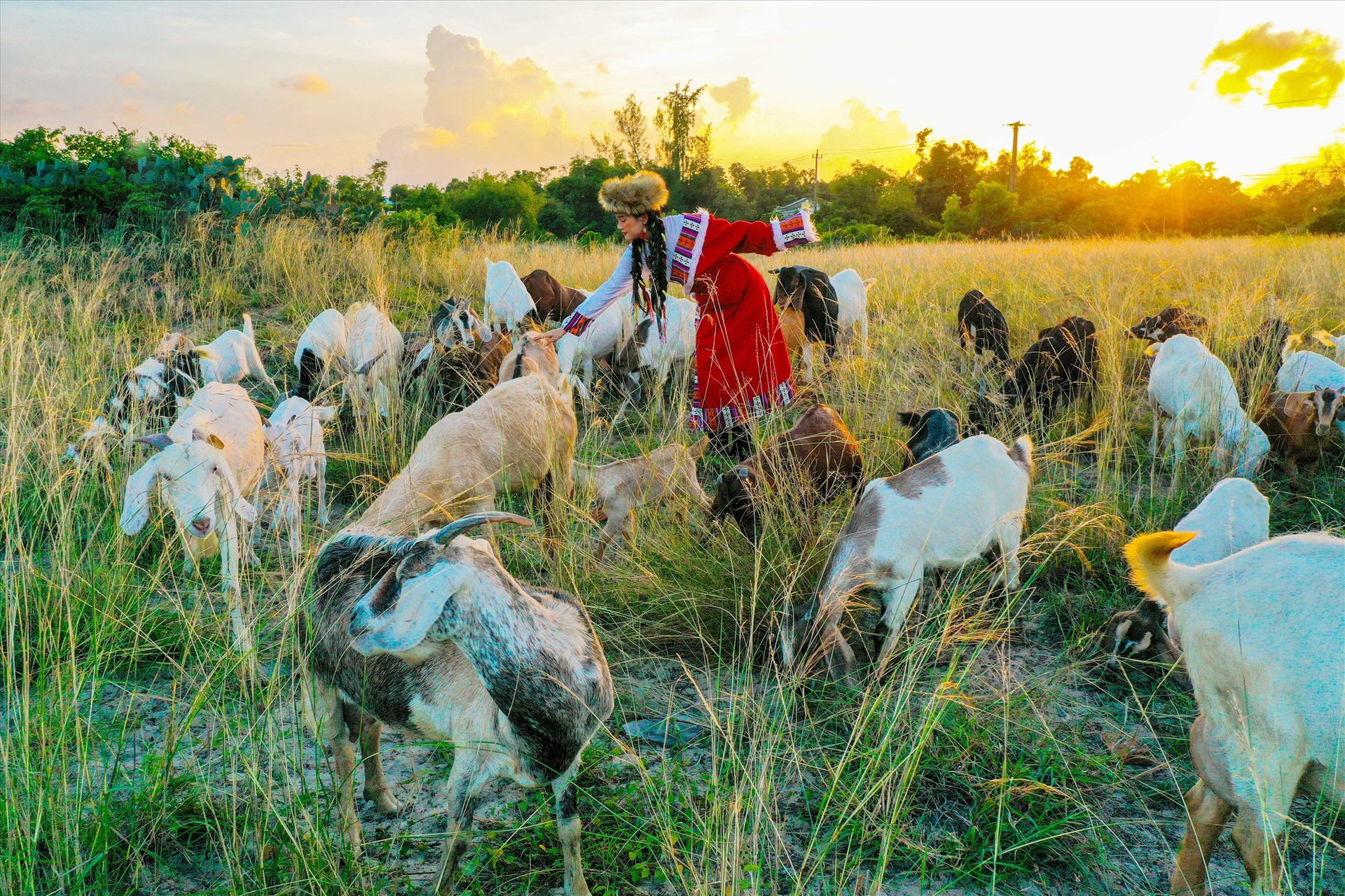 A girl dressed as a nomad to take photos with goats and grasslands