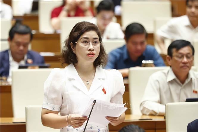 Đại biểu Quốc hội tỉnh Đắk Nông Phạm Thị Kiều phát biểu ý kiến. Ảnh: Doãn Tấn/TTXVN