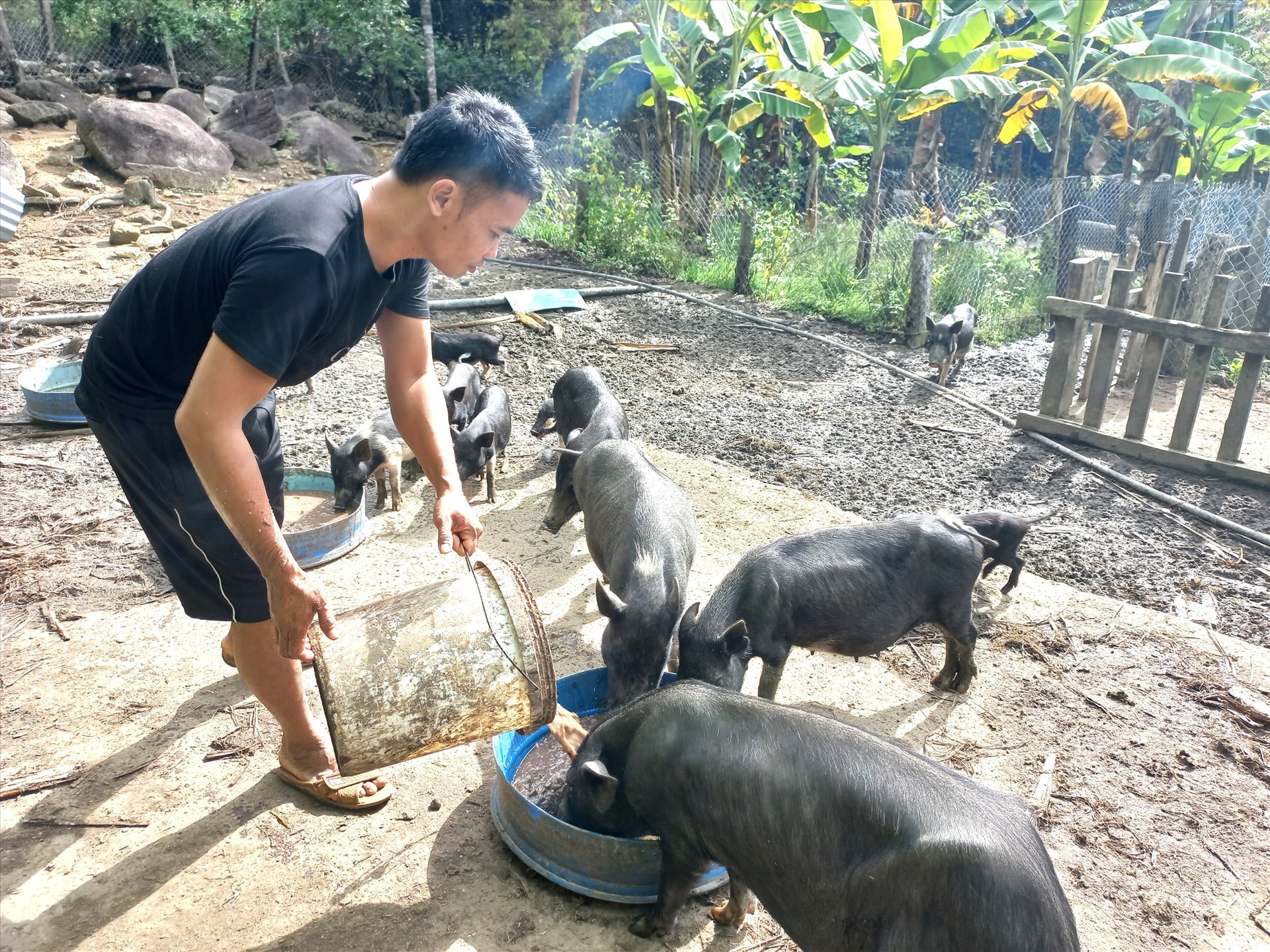 Đảng viên A Lăng Tư với mô hình phát triển trang trại. Ảnh: C.T