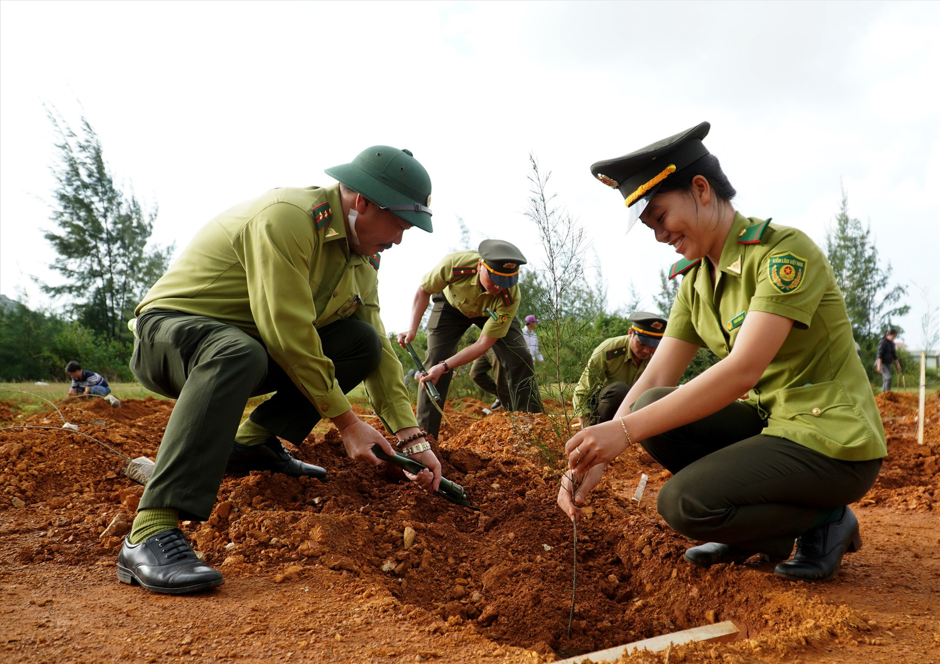 Quảng Nam phấn đấu hoàn thành mục tiêu trồng 51,6 triệu cây xanh trong giai đoạn 2021 – 2025. Ảnh: H.Q