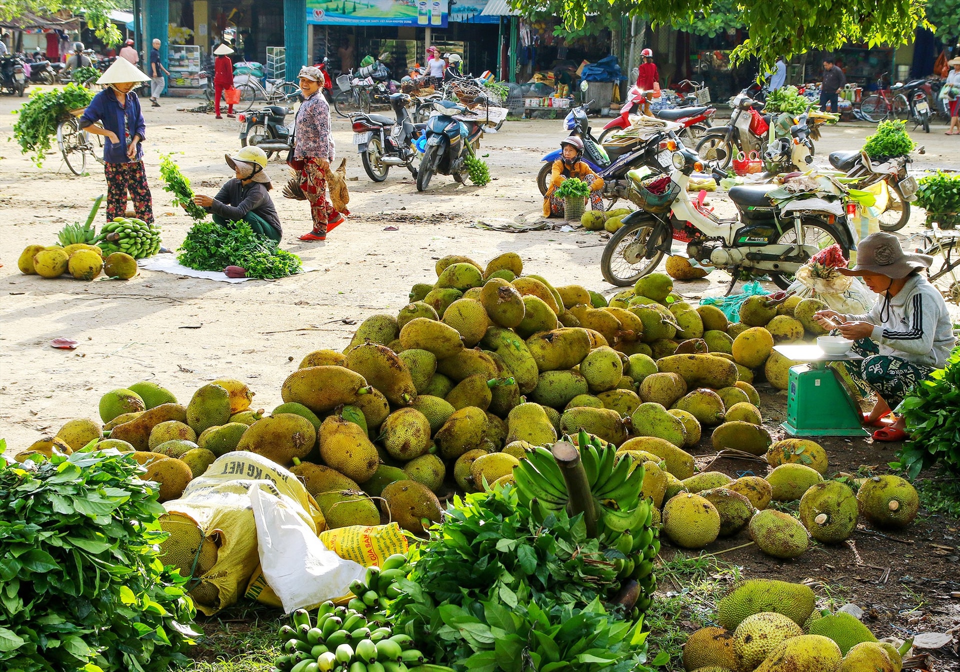 Chợ quê. Ảnh: Đặng Kế Đông