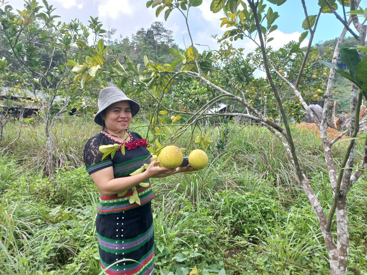 Cải tạo vườn tạp để trồng cây ăn quả được người dân xã Mà Cooih chú trọng triển khai. Ảnh: N.B