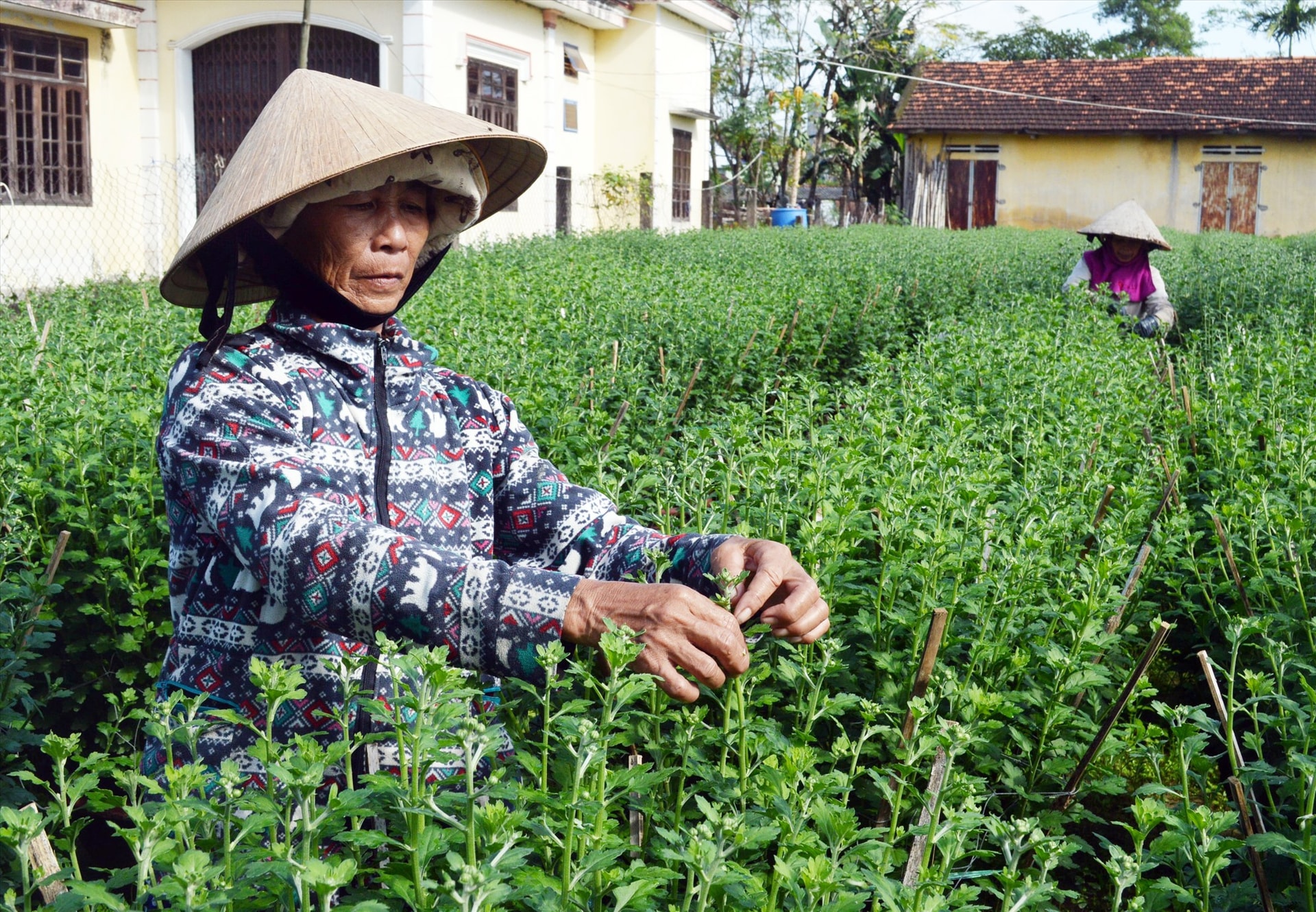 Xây dựng nông thôn mới giúp nâng cao thu nhập, cải thiện đời sống người dân. Ảnh: V.L